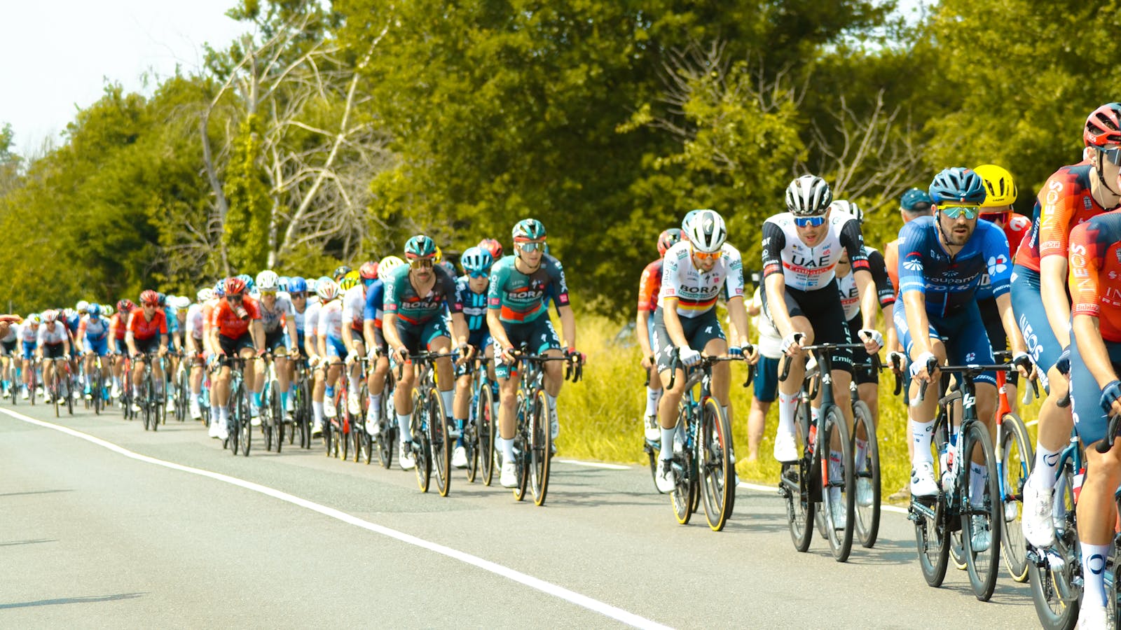 A group of professional cyclists riding together in a tight peloton formation, illustrating how domestiques shield team leaders from wind resistance